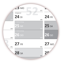 XL Classic2 Wandkalender 2019 grau