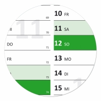 XL Classic Wandkalender 2015 gr�n